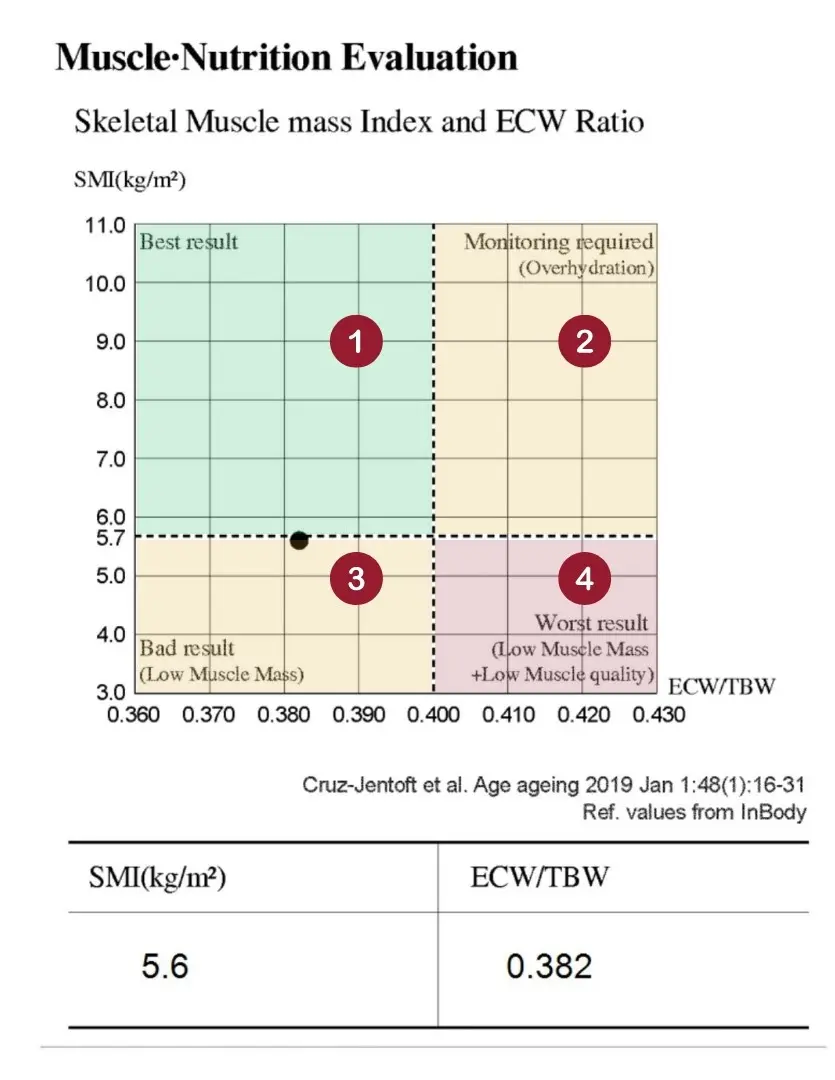 Muscle Nutrition Evaluation InBody
