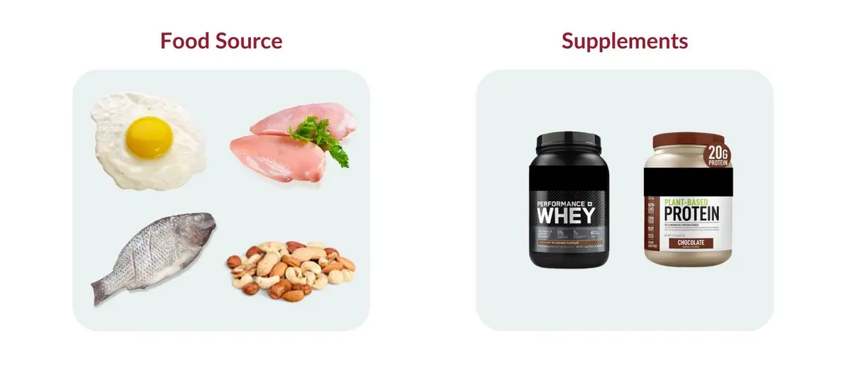 Food source and supplements for protein