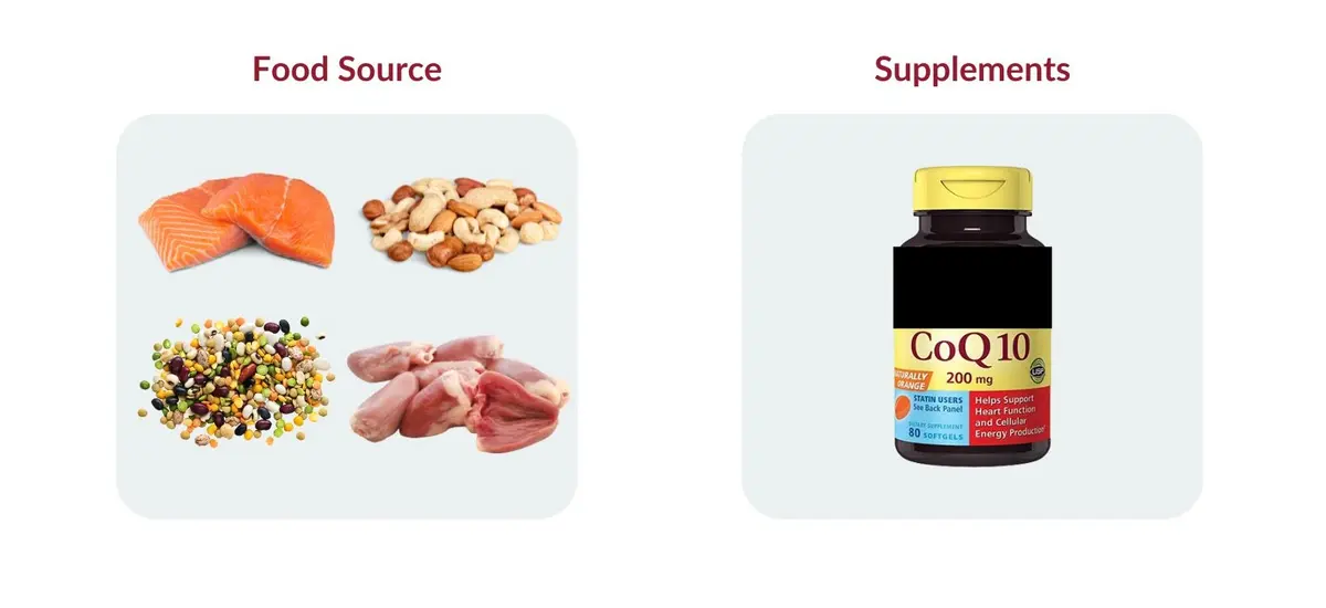 Food source and supplement for coenzyme Q10
