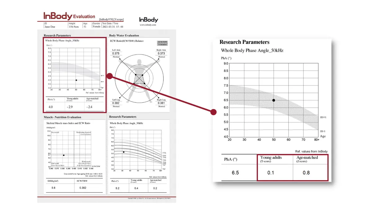 InBody Evaluation Result Sheet
