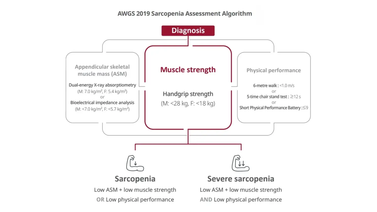Sarcopenia Assessment based on AWGS2019