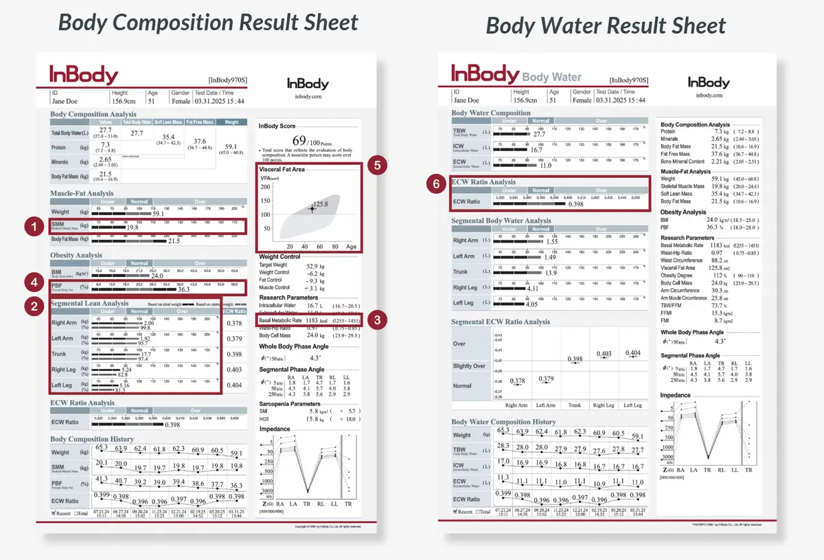 InBody970S Body Composition Result Sheet and Body Water Result Sheet
